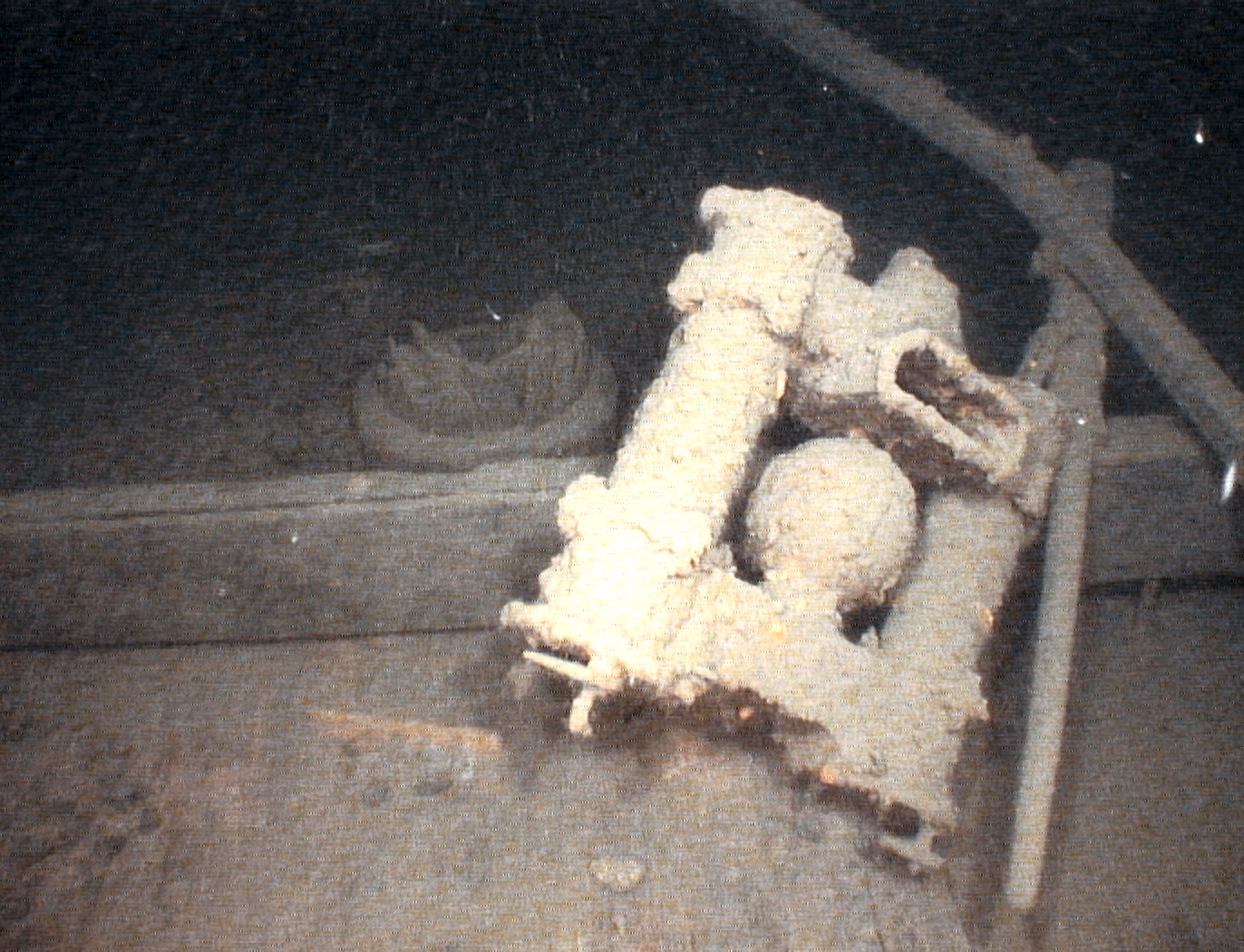 Atlanta Shipwreck Pump