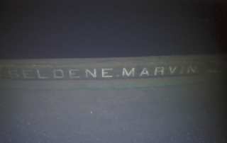 Marvin Nameboard - Seldene Marvin